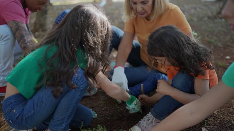 Best Tree and Shrub Care  in Meadow Vista, CA