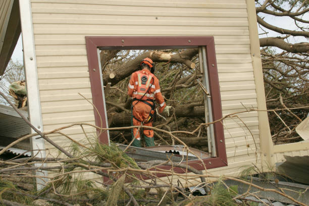 Trusted Meadow Vista, CA Tree Care Services Experts